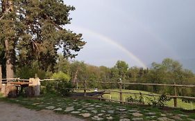 Locazione turistica aquila bianca